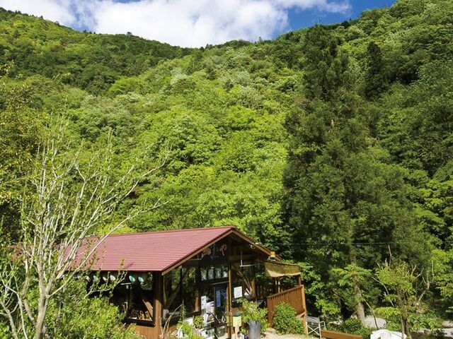 ���������X  ����