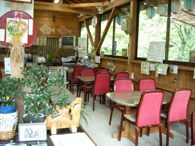 ���������X  ����