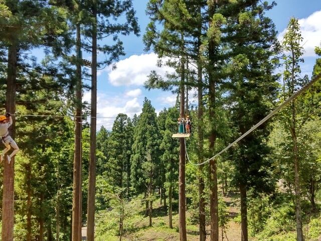 �h���x�A���v�X�A�h�x���`���[