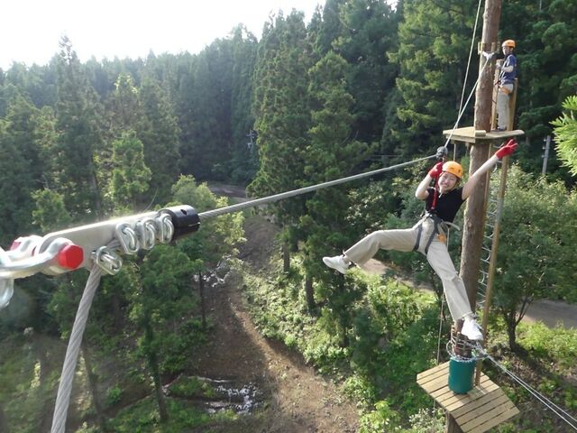 �h���x�A���v�X�A�h�x���`���[