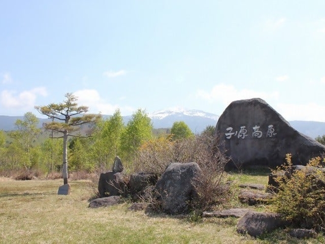 Xу^T[rXforenta qmLvGA̎ʐ^1