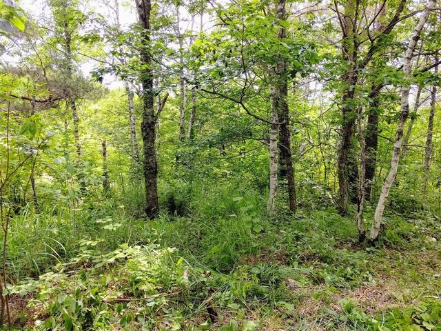 �X�у����^���T�[�r�Xforenta �q�m�������L�����v�G���A