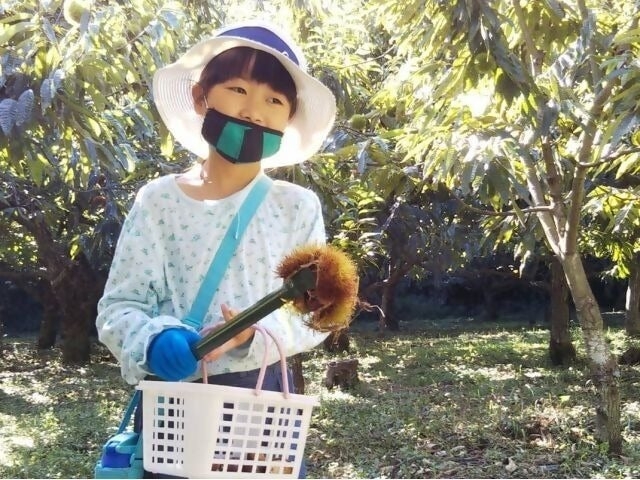 ���ӗ��R�i�ό������̎ʐ^1