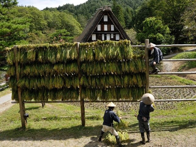 ��˂̗� �ԓc�̈��