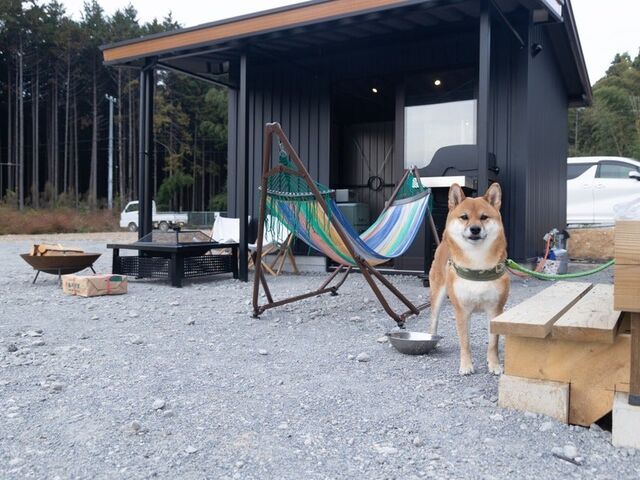 ���R�O�����s���O �ނ���