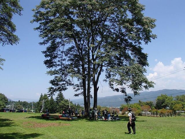 �t���[�T�C�g�́A�L�X�Ƃ����Ő��̃T�C�g�Ɏ��R�Ƀe���g�𒣂��Ă��������܂��B_�Ȃ������R�����L�����v��