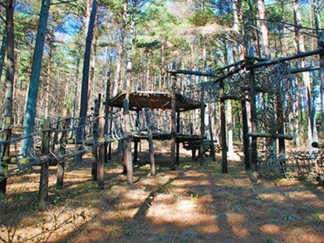 ���j�[�N�Ȗؐ��V��������t�B�[���h�A�X���`�b�N�́A�����ł��y���݂��������܂��B�U������Ȃ���R�[�X���P�����Ă݂Ă��������B_�Ȃ������R�����L�����v��