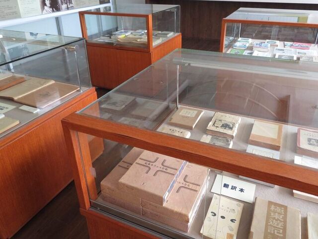 �����G�X�M�������[�SAUDADE�