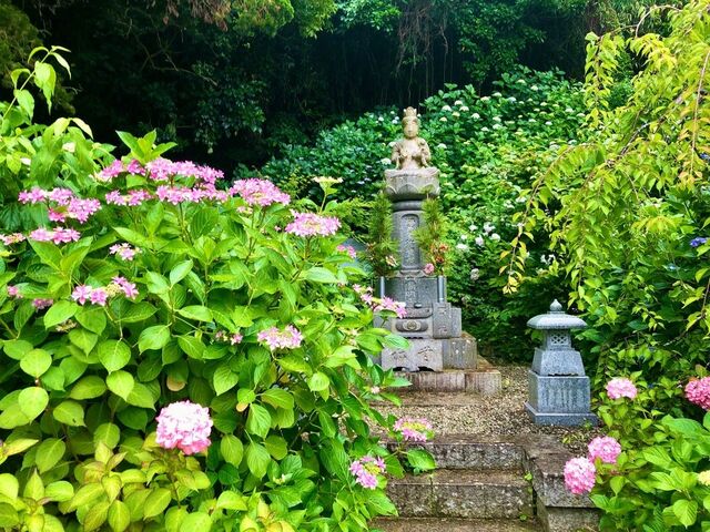 �������̂��������̎ʐ^1