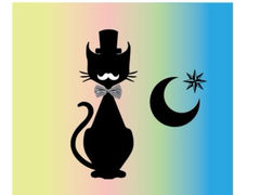 �A�N�Z�T���[ �W���W���̎ʐ^1