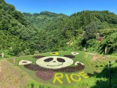 �I�c�A�[�g�y�V�����\�����s�@���V�R���z��z�̎ʐ^1