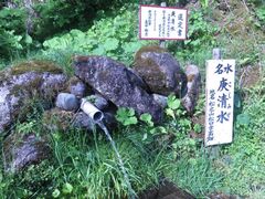 �M�����̎ʐ^1