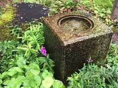 �������̎ʐ^1