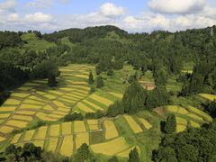 �c�n�̒I�c�̎ʐ^1