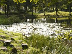 ���c�̋������̍��̎ʐ^1