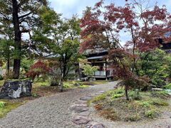 ���ۊt�̎ʐ^1