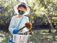 ���ӗ��R�i�ό������̎ʐ^1