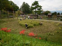 ��˂̗� �ԓc�̈��̎ʐ^