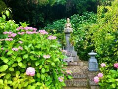 �������̂��������̎ʐ^1