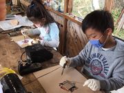 XehOXVn@JAHPON LAND(W[|h)̎ʐ^4