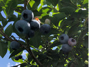 u[x[ό_VbNXt@[̎ʐ^3