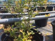 u[x[ό_VbNXt@[̎ʐ^4