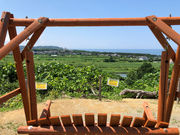 u[x[ό_VbNXt@[̎ʐ^2