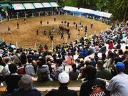 ���̊p�˂��i����J�E�R�Îu�j�̎ʐ^2