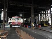 ���]��D51���[���p�[�N�̎ʐ^2