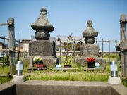 �����Ɛ~�q���̋��{���̎ʐ^3