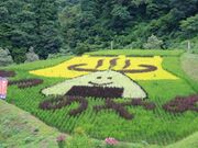 �I�c�A�[�g�y�V�����\�����s�@���V�R���z��z�̎ʐ^4