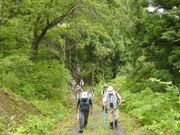 �Ó��@���V�R�X���i�㐙�R���@�j�̎ʐ^2