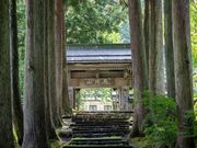 �哏�R���p�����ق̎ʐ^4