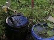 ����̏��������̎ʐ^2