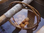 ���珈�@�n�F�̎ʐ^2