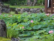 ��򎛓��N�@�̎ʐ^4