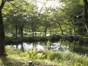 ���c�̋������̍��̎ʐ^2