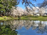 ���c�̋������̍��̎ʐ^3