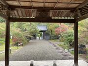 ���ۊt�̎ʐ^2