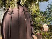 NEST nagaoka�i�l�X�g�����j�̎ʐ^4