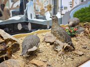 ���������r�W�^�[�Z���^�[�̎ʐ^2