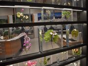 ���������r�W�^�[�Z���^�[�̎ʐ^3