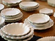 �������M�R�̎ʐ^2