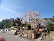 ��˂����Ѝ��߂���̎ʐ^3