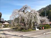 ��˂����Ѝ��߂���̎ʐ^4