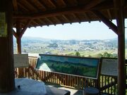 �_���i�ϓ��{��n��̎ʐ^2