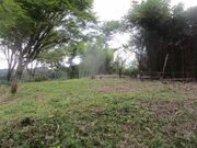 �щH�ԏ�Ղ̎ʐ^2