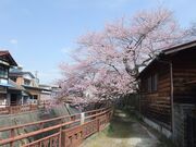 ���R���̎ʐ^2