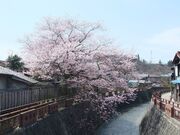 ���R���̎ʐ^3