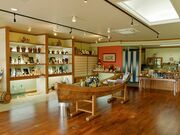 d𑢁y𑠃c[Yz̎ʐ^2